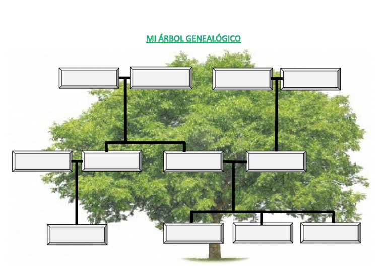 Mi Arbol Genealogico | PDF