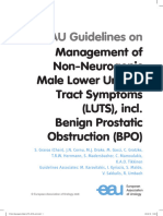 Obstructii Urinare Joase (HBP) - EAU Guidelines