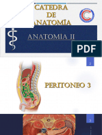 Peritoneo 3