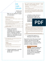 Princípios Processuais Constitucionais