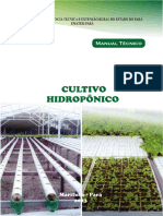 CULTIVO Hidroponico de Milho