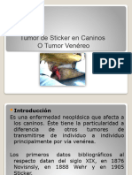 Tumor de Stiker