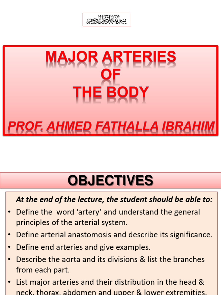 2-Major Arteries of The Body | PDF | Aorta | Common Carotid Artery