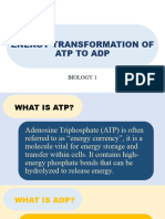 Gen - Bio Atp-Adp