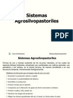 Sistemas Silvo-Pastoriles 2020