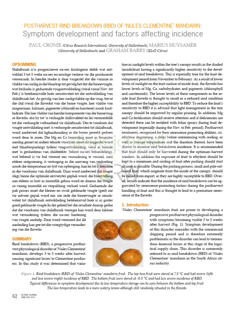 Rind Breakdown in Nules Clementine | PDF | Orange (Fruit) | Citrus