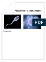 Caratula Informe Cafd