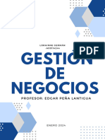 Ensayo Gestión de Negocios Unapec