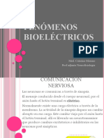 Clase Fenómenos Bioeléctricos 1