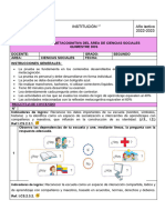 CCSS - Evaluacion - Metacognitiva