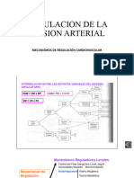 Regulacion de La Presion Arterial I-Dr - Adrian Narvaez