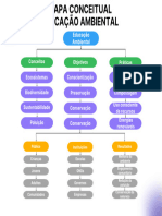 MAPA CONCEITUAL