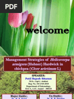 Download Seminar on Management of Helicoverpa Armigera in Chickpea by rajeshpatil10007368 SN71808349 doc pdf