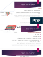 ‏‏מבוא לאנטומיה ופזיולוגיה -שיעור 2