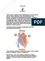 CORAÇÃO