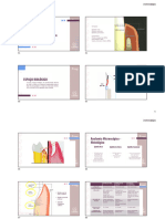 Anatomia Do Periodonto - Parte II
