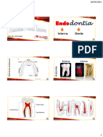 Anatomia Dental Interna