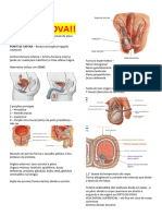 Anatomia 07 30052023