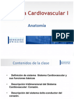 Clase 6 Cardiovascular Primera Parte