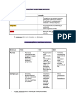 Fisiologia Do Sistema Nervoso - @fisioterapiailustrada