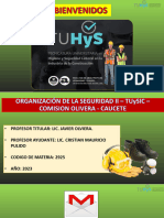 Organizacion de La Seguridad II