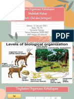 Sistem Organisasi Kehidupan Part 1