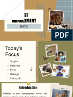 Pest Management - RATS