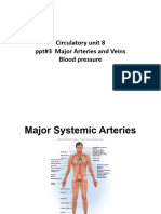 3 Circulatory Major Arteries and Veins Blood Pressure