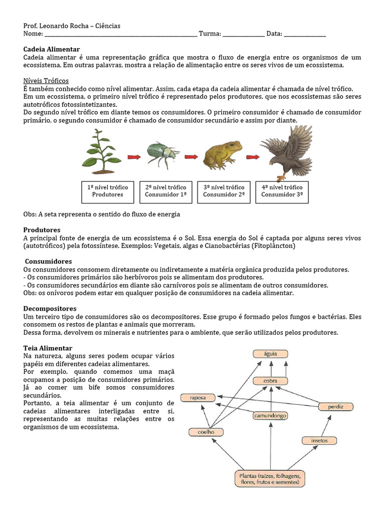 Cadeia Alimentar e Níveis Tróficos | PDF | Ecossistema | Organismos