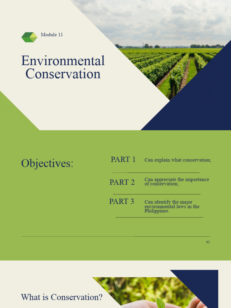 Environmental Conservation in the Philippines | PDF | Environmental ...