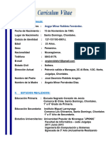 Curriculum Vitae