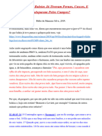 Prova Baleias Tiveram Pernas Cascos E Galoparam Pelos Campos - Helio