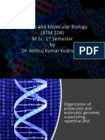 L 6 Organization of Genome