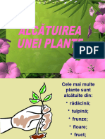 Prezentare Planta