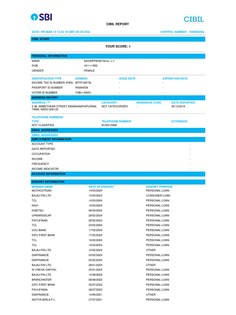 CIBIL Credit Report Summary 2024 | PDF | Loans