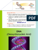 DNA Notes