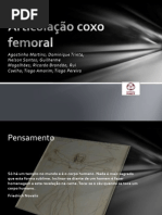 Articulação coxo fémural2