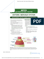 Enteric Nervous System - Video, Anatomy & Definition - Osmosis