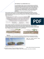 3.1 Bahan Ajar Pertumbuhan & Perkembangan