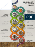 Elaboración Del Vino de Mango