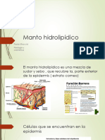 Manto Hidrolipídico: Paula Ulloa Cid Fisiología y Cosmética