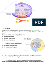 Cell Cycle and Mitosis