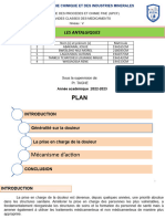 TPE ANTALGIQUES - Bon