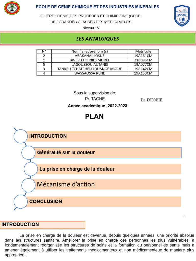 TPE ANTALGIQUES - Bon | PDF | Antalgique | Douleur