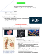 Sistematica 2