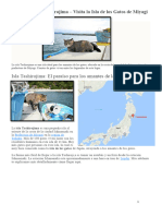 Guía de La Isla Tashirojima