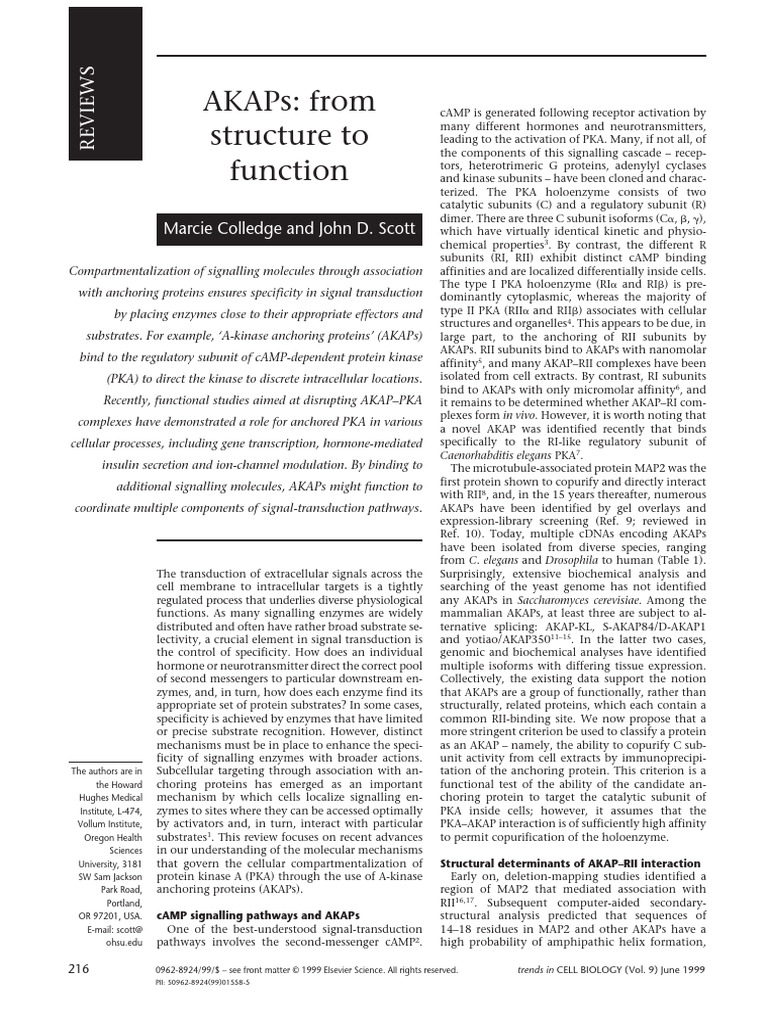 Colledge Trnds Cell Biol 1999 p216 | PDF | Cell Signaling | Proteins