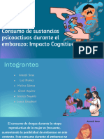 Embarazo y Consumo - Grupo 2