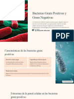 Bacterias Gram Positivas y Gram Negativas