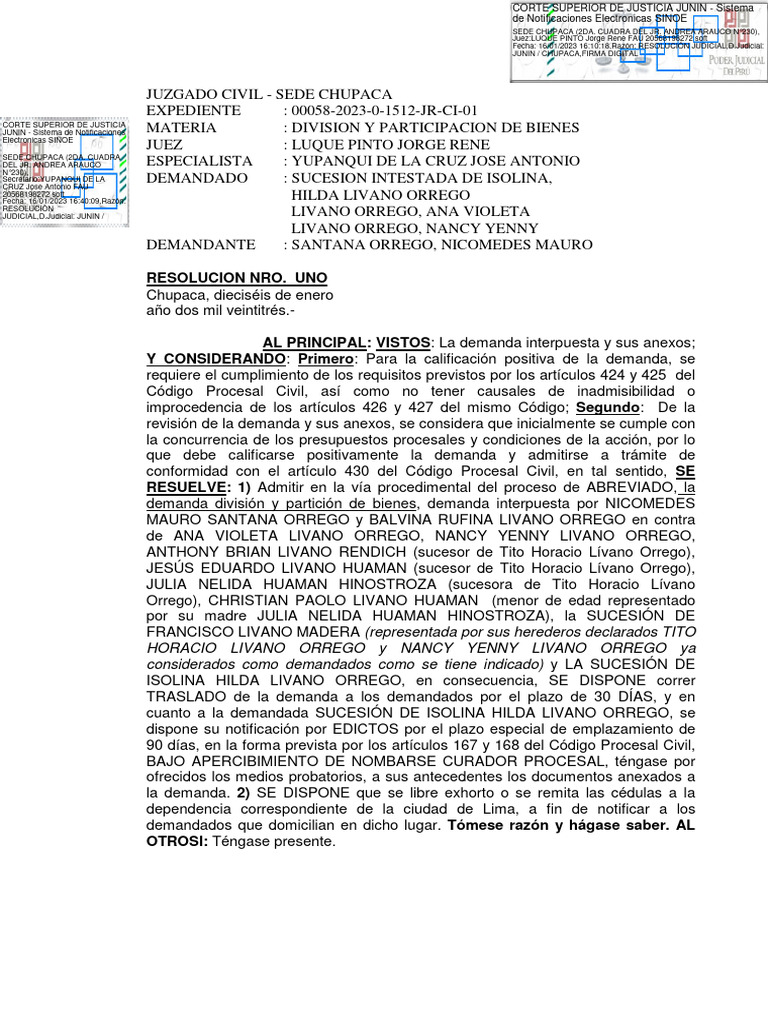 Demanda Admitida | PDF | Ley común | Gobierno